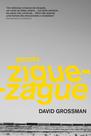 Livro - Garoto zigue-zague