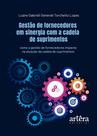 Livro - Gestão de Fornecedores em Sinergia com a Cadeia de Suprimentos