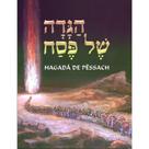 Livro - Hagadá de Pêssach - Com tradução para o português, transliteração e ilustrações