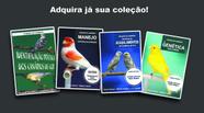 Livro - Identificação das Cores