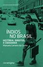 Livro - Índios no Brasil Livro - Índios no Brasil