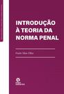 Livro - Introdução à Teoria da Norma Penal