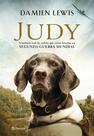 Livro - Judy Livro - Judy