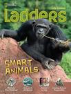 Livro - Ladders - Smart Animals - On Level