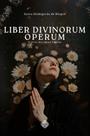 Livro - Liber Divinorum Operum