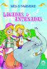 Livro - Ligadas e antenadas