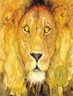 Livro - Lion and the mouse, the