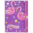 Livro - Livro-bolso de ATIVIDADES: Flamingos