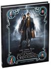 Livro - Luzes, câmera e magia!