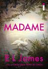 Livro - Madame (Sequência de Mister) Livro - Madame (Sequência de Mister)