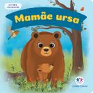 Livro - Mamãe ursa