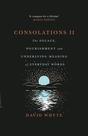 Livro Many Rivers Press Consolations II: O consolo, a nutrição