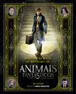 Livro - Mergulhe na magia - os bastidores de animais fantásticos e onde habitam