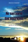 Livro - No santuário das inscrições