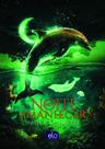 Livro - Noite ao amanhecer