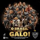 Livro - O Brasil é do Galo!