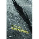 Livro - O céu da amarelinha