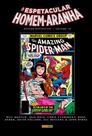 Livro - O Espetacular Homem-Aranha Edição Definitiva Vol. 13