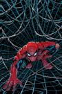 Livro - O Espetacular Homem-Aranha Vol. 20 / 64