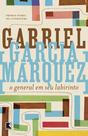 Livro - O general em seu labirinto