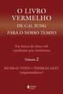 Livro - O livro vermelho de C. G. Jung para o nosso tempo vol. 2