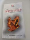 Livro o que é a Blasfêmia contra o Espírito Santo - Livros Livro o que é a Blasfêmia contra o Espírito Santo - Livros