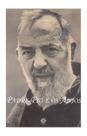 Livro - Padre Pio E Os Anjos