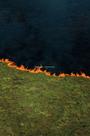 Livro - Pantanal
