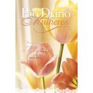 Livro - Pão Diário Mulheres - Louvor