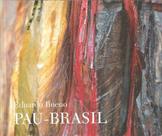 Livro Pau Brasil - Capa comum - Axis Mundi