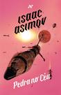 Livro - Pedra no Céu