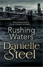 Livro Penguin Rushing Waters (B) Livro Penguin Rushing Waters (B)