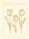 Livro - Planner Estacoes By Viviane Martinello - Abstrata