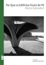 Livro - Por que os edifícios ficam de pé