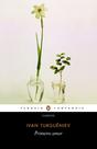 Livro - Primeiro amor