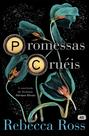 Livro - Promessas cruéis (Sucesso no TikTok)