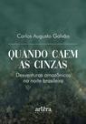 Livro - Quando Caem as Cinzas