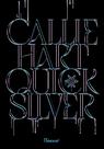 Livro - Quicksilver