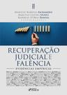 Livro - RECUPERAÇÃO JUDICIAL E FALÊNCIA - EVIDÊNCIAS EMPÍRICAS - 1ª ED - 2022