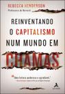 Livro - Reinventando o capitalismo num mundo em chamas
