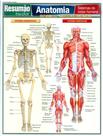 Livro - Resumao - Anatomia - Sistemas Do Corpo Humano