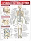 Livro - Resumao - Articulacao E Ligamentos - Avancado
