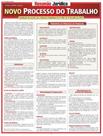 Livro - Resumao - Novo Processo Do Trabalho