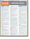 Livro - Resumao - Sociologia - RESUMAO