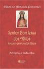 Livro - Senhor Bom Jesus dos Aflitos