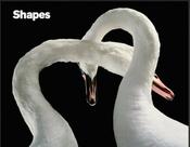 Livro - Shapes Livro - Shapes
