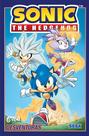 Livro - Sonic The Hedgehog — volume 16: Desventuras