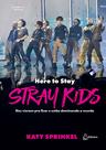Livro - Stray Kids: Here To Stay Livro - Stray Kids: Here To Stay