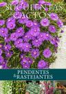 Livro - Suculentas e Cactos: Pendentes & Rastejantes