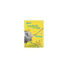 Livro - Telefante sem Fio - Messias -